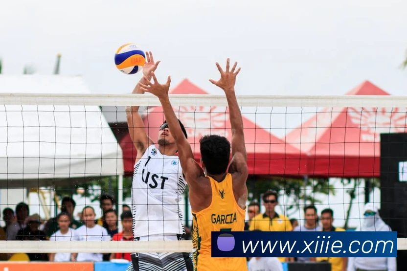 8868官网登录发展历程